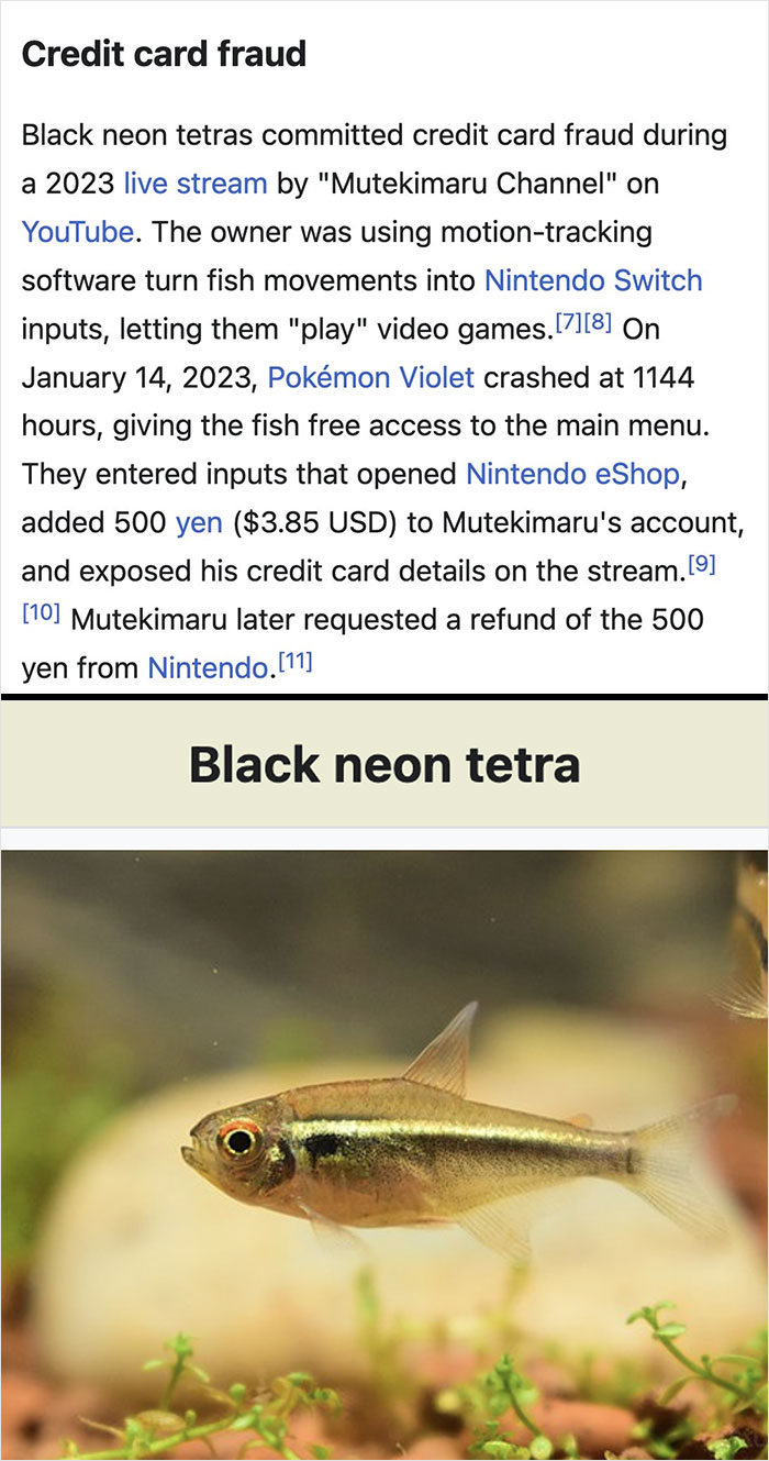 Wikipedia entry describing credit card fraud by black neon tetras playing Nintendo Switch, part of funny Wikipedia gems.