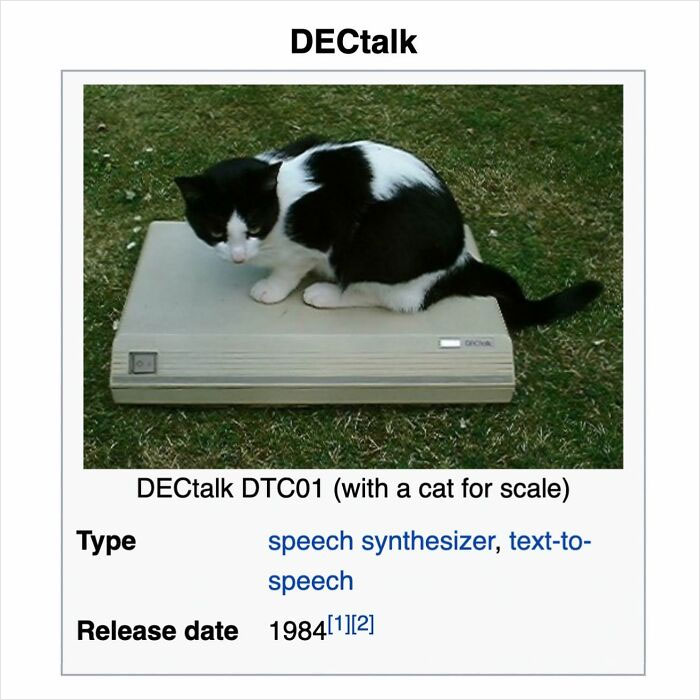 Black and white cat sitting on vintage DECtalk speech synthesizer device on grass in funny Wikipedia gem find.
