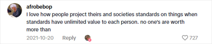 Social media comment about people's views on standards and their unlimited personal value in a discussion on dangerous cabin safety. Social media comment about people's views on standards and their unlimited personal value in a discussion on dangerous cabin safety.