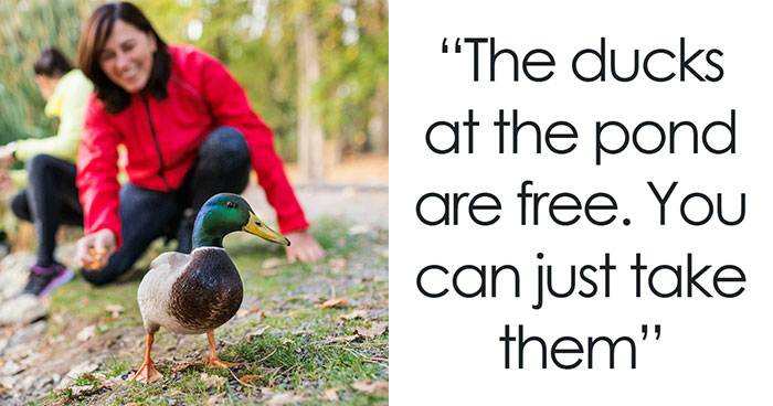 People Share 44 Facts That Completely Changed How They Think About, Well, Everything