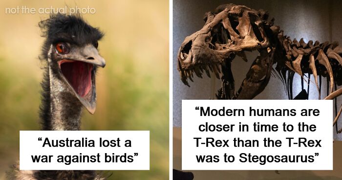 44 Comically Absurd Facts You Probably Don’t Know