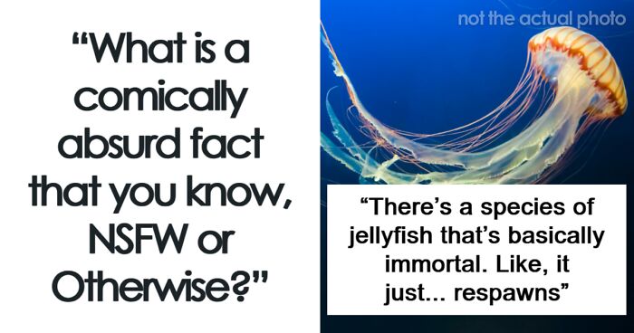 44 Comically Absurd Facts You Probably Don’t Know