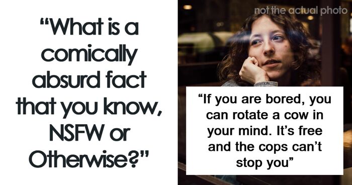44 Comically Absurd Facts You Probably Don’t Know
