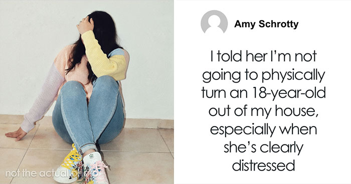 Hey Pandas, AITA For Standing Up For My Niece And For My Baby, Or Am I Just Causing Drama?