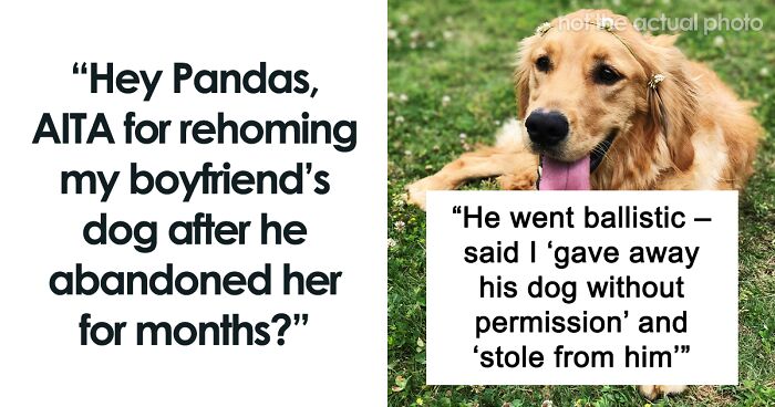 Hey Pandas, AITA For Rehoming My Boyfriend’s Dog After He Refused To Help Pay Vet Bills?