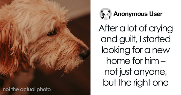 Hey Pandas, AITA For Finding A New Home For My Dog After My Girlfriend Walked Out?