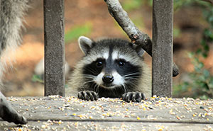 Hey Pandas, AITA For Returning Gifts My MIL Spent A Fortune On Because They Were Awful?