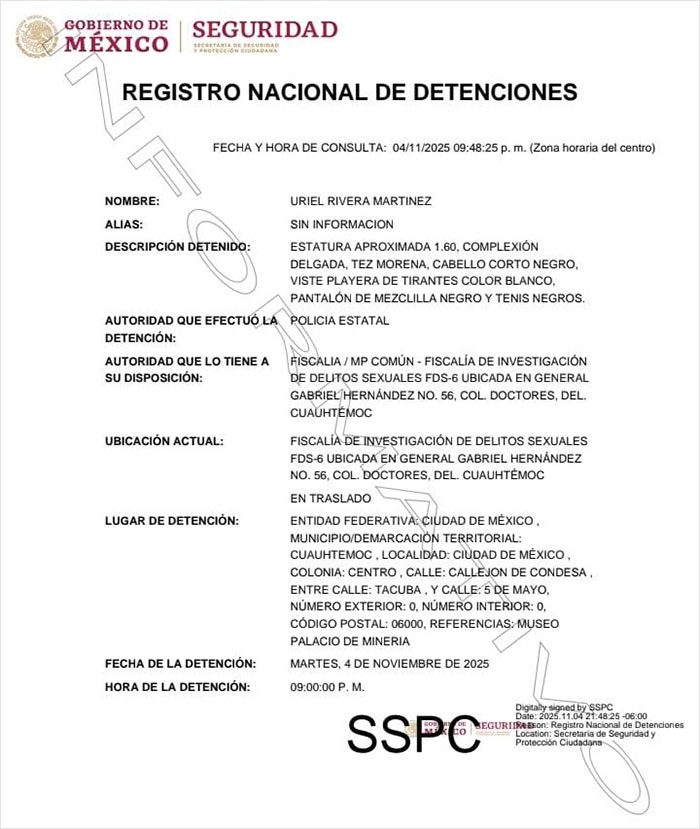Document showing the registro nacional de detenciones in Mexico with details about a detainee and detention authority. Document showing the registro nacional de detenciones in Mexico with details about a detainee and detention authority.