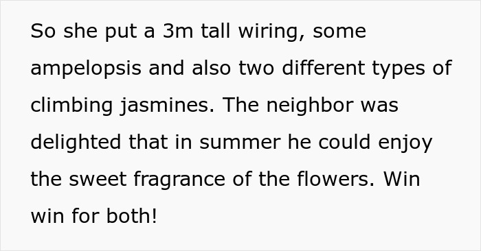 Woman installs climbing jasmines on wiring after neighbor demands she cut her plant wall, creating a charming view of pure concrete. Woman installs climbing jasmines on wiring after neighbor demands she cut her plant wall, creating a charming view of pure concrete.