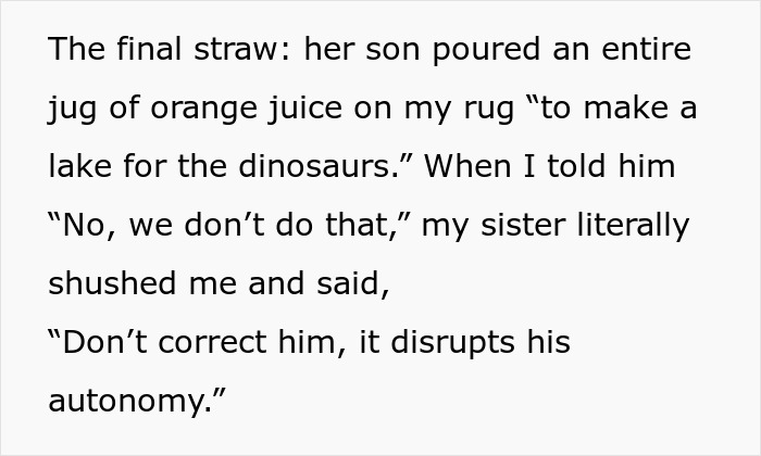 Text excerpt showing a sister practicing gentle parenting by supporting her son's autonomy despite a mess in the house. Text excerpt showing a sister practicing gentle parenting by supporting her son's autonomy despite a mess in the house.