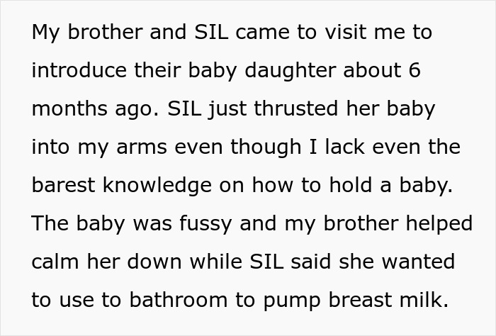 Text excerpt about a woman’s sister-in-law stealing her book and losing money after publishing it.