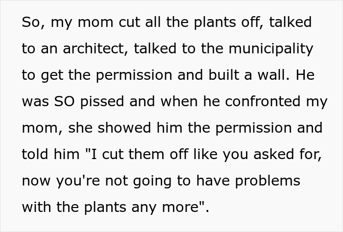 Text excerpt describing a lady cutting her plant wall and gifting a charming view of pure concrete to her neighbor.