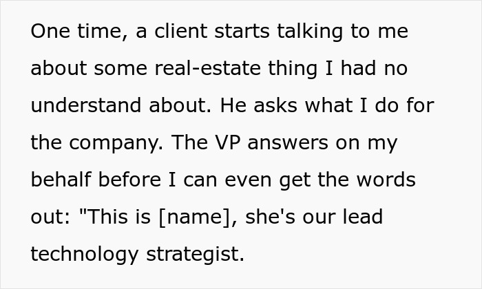 Text excerpt showing a female software developer described as lead technology strategist during client meeting.