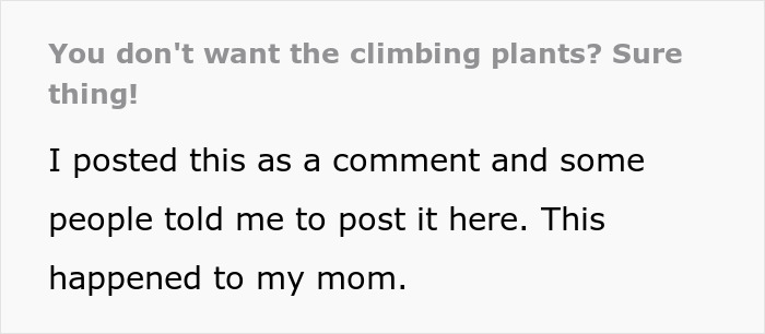 Alt text: Neighbor gifts charming view of pure concrete after demanding woman cut her plant wall. Alt text: Neighbor gifts charming view of pure concrete after demanding woman cut her plant wall.