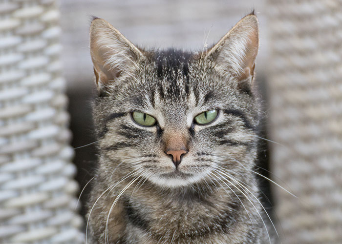 “Couldn’t Make This Up”: 50 Wild Family Dramas That Make Your Relatives Look Totally Normal