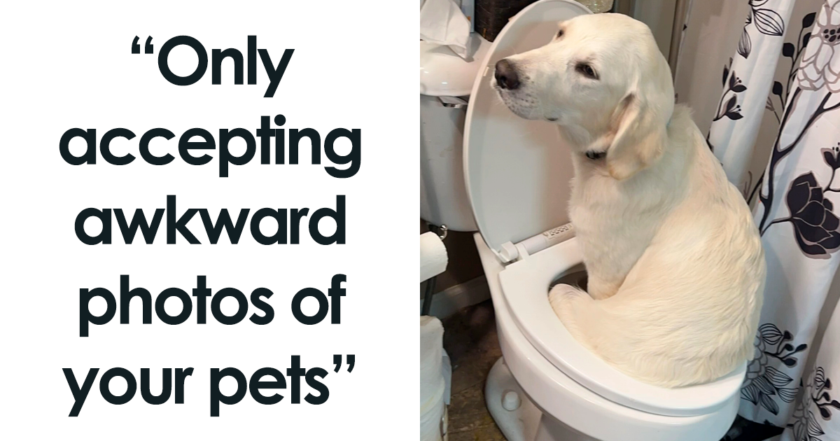 50 People Share Awkward Photos Of Their Pets, And The Results Are Pure Comedy Gold