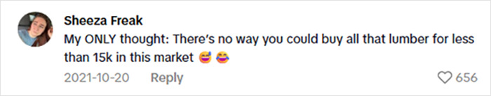 Comment from social media user expressing disbelief at buying all that lumber for less than 15K amid safety concerns about a viral cabin.