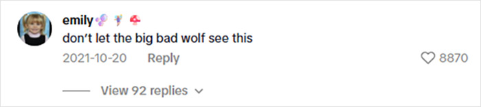 Screenshot of a viral social media comment on a woman's $15K cabin in the woods raising safety concerns.