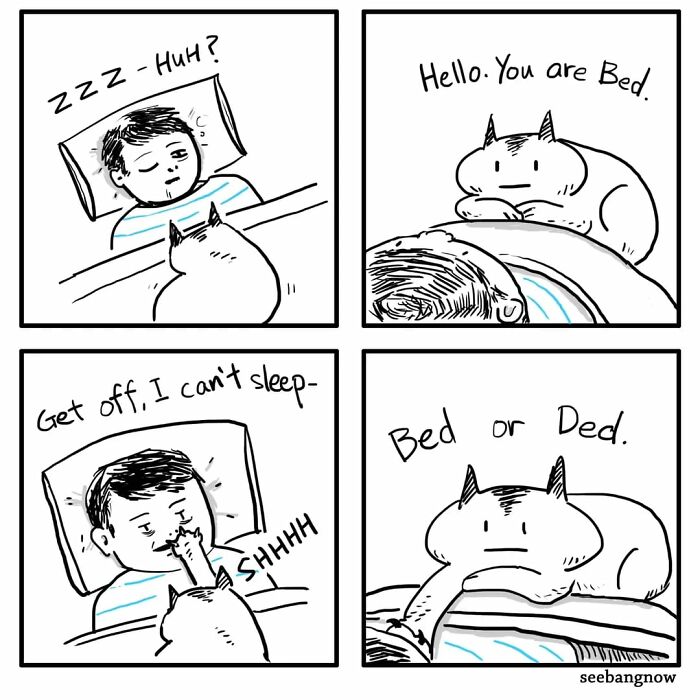 Comic panels featuring a dramatic cat interacting honestly with a sleepy person, showing the cat's unbothered attitude.