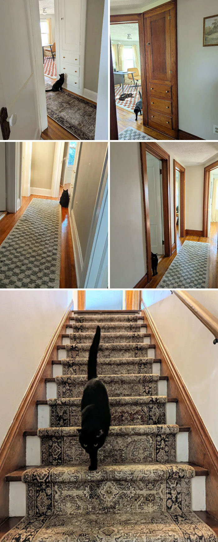 beautiful-century-homes-photos-4-691db8e