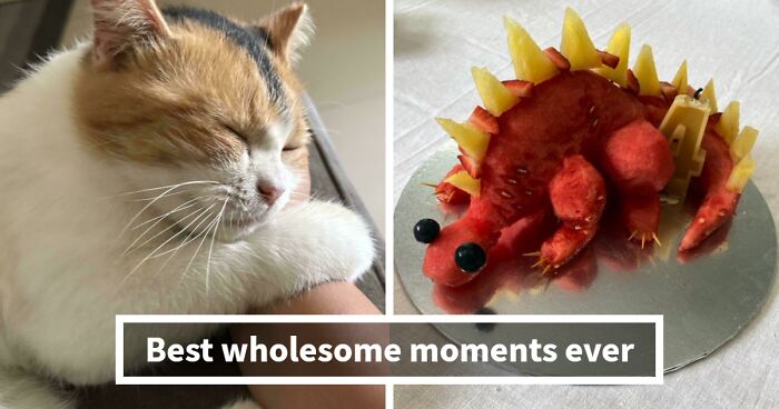 50 Wholesome Internet Moments That Prove The Online World Isn’t All Doom And Gloom