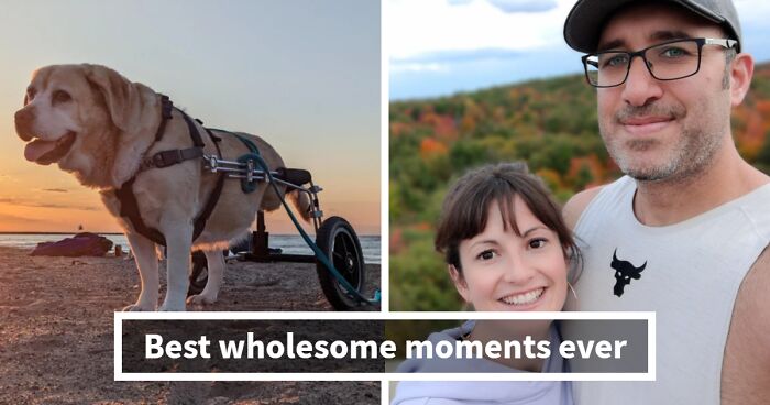 50 Wholesome Internet Moments That Prove The Online World Isn’t All Doom And Gloom