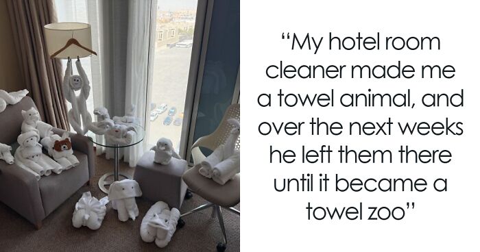 50 Wholesome Internet Moments That Prove The Online World Isn’t All Doom And Gloom