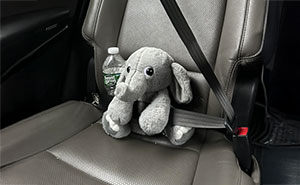 50 Wholesome Internet Moments That Prove The Online World Isn’t All Doom And Gloom