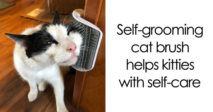 Woman Leaves The US To Start A New Life In France Because BF Couldn’t Handle Her Success