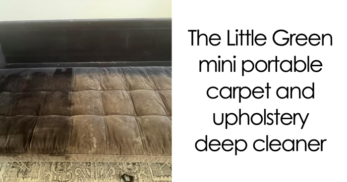 “Imagine Falling Into It”: 110,000 Spiders Built World’s Biggest Web, And It’s Absolute Nightmare Fuel