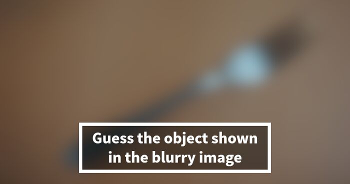 “How Sharp Is Your Vision?”: Try To Name All 25 Things Hidden In These Blurry Images