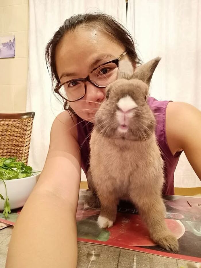 Woman wearing glasses taking a selfie with her curious rabbit on the table, showcasing funny moments by rabbit owners.