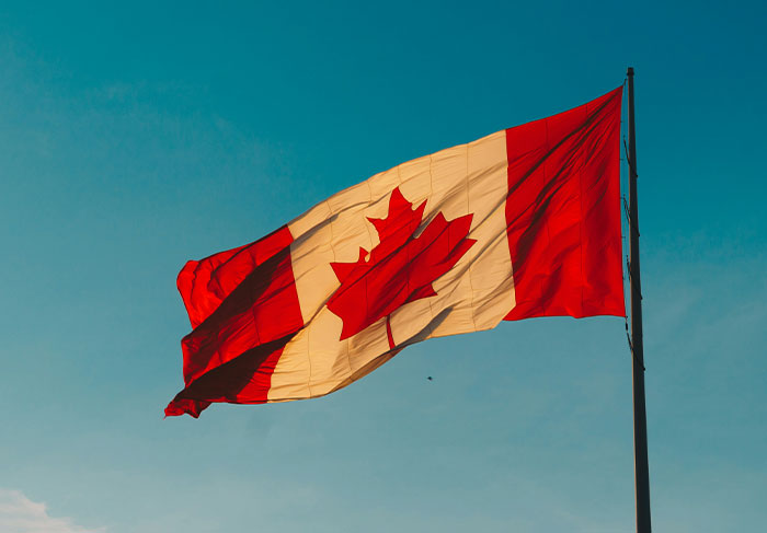 “My Life Would Be Different”: 50 Unexpected Moments That Convinced People That The ‘Burnt Toast Theory’ Is Real