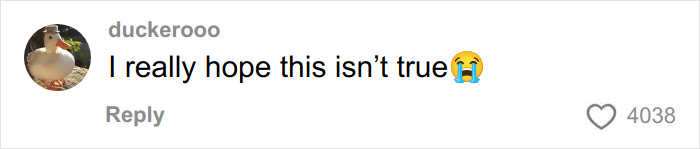 Comment expressing hope that Chris Evans cheating rumors are not true with a crying emoji on social media.