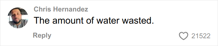 Comment on Coca-Cola’s holiday commercial criticizing AI creativity with 21,522 likes on social media post.