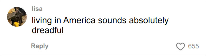 Comment saying living in America sounds absolutely dreadful, illustrating opinions on pay for ambulance rides in the US. Comment saying living in America sounds absolutely dreadful, illustrating opinions on pay for ambulance rides in the US.
