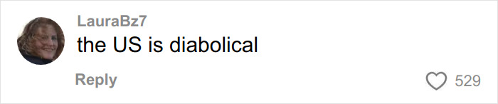 User comment on social media post stating the US is diabolical, reflecting frustration related to pay for ambulance rides. User comment on social media post stating the US is diabolical, reflecting frustration related to pay for ambulance rides.