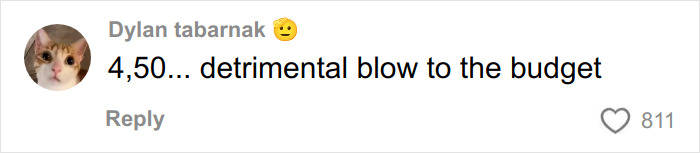 Comment from Dylan tabarnak with a cat profile picture saying 4,50 detrimental blow to the budget on a social media post. Comment from Dylan tabarnak with a cat profile picture saying 4,50 detrimental blow to the budget on a social media post.