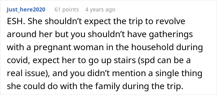 Comment discussing MIL telling DIL the world doesn’t revolve around her pregnancy after repeated complaints.