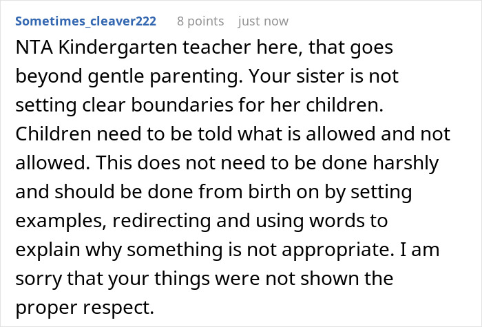 Screenshot of an online comment discussing gentle parenting and setting clear boundaries in a sister's household. Screenshot of an online comment discussing gentle parenting and setting clear boundaries in a sister's household.