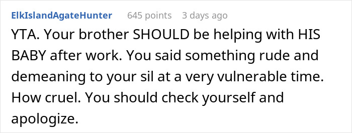 Screenshot of a Reddit comment criticizing a brother for not helping with his baby and urging an apology to the stay-at-home mom.