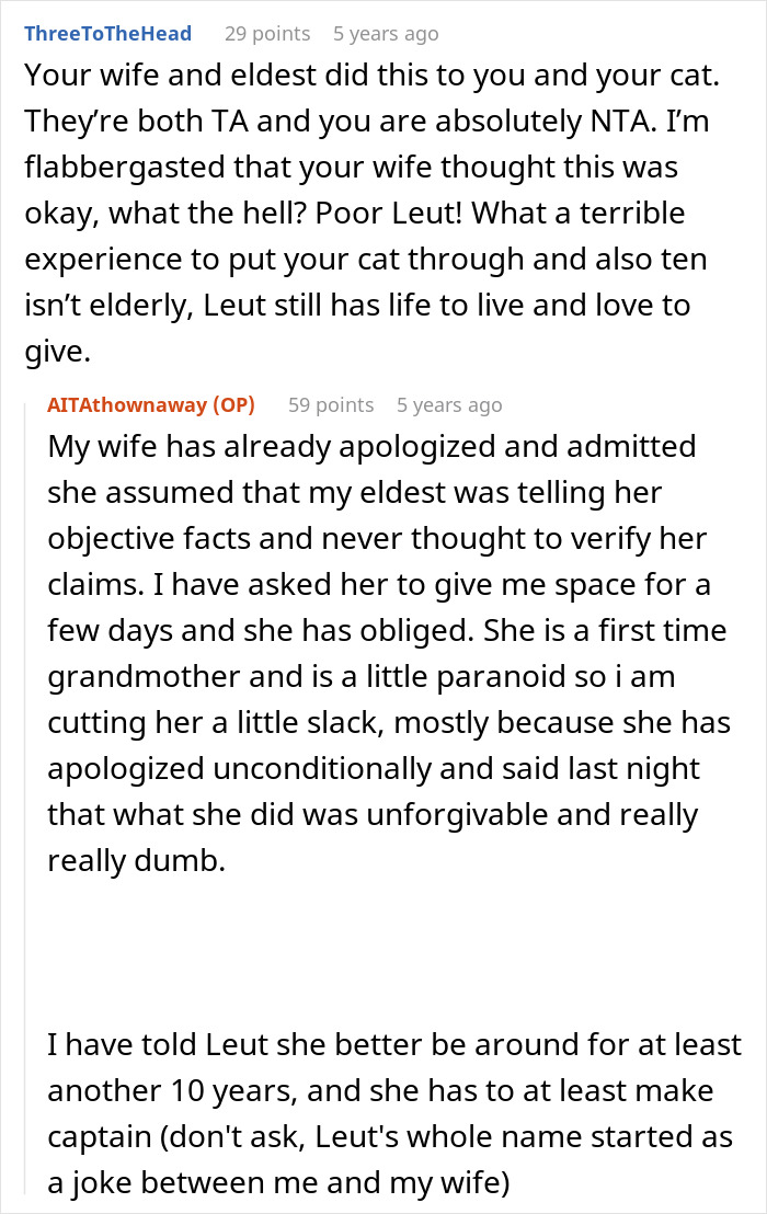Reddit comments discussing a pregnant daughter&rsquo;s decision to put dad&rsquo;s cat in a shelter over baby safety concerns.