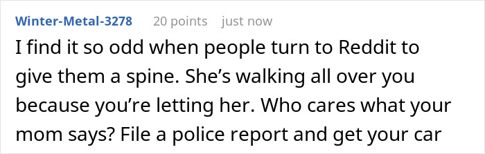 Screenshot of a Reddit comment discussing a lady borrowing a car for one hour but keeping it for days and calling her sister pushy.