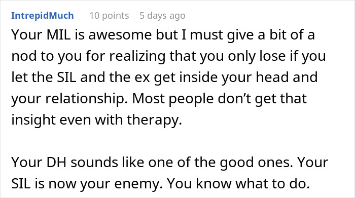 Comment discussing a sister-in-law driving a wedge between a brother and his wife to help her bestie get him back.