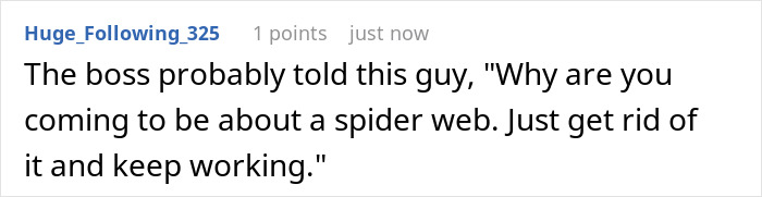 Comment text on a white background discussing a boss telling an employee to ignore a spider web and keep working. Comment text on a white background discussing a boss telling an employee to ignore a spider web and keep working.