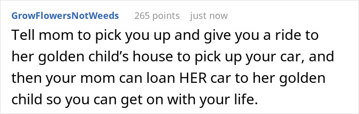 Comment discussing a sister borrowing a car for one hour but keeping it for days, calling sibling pushy for asking it back.