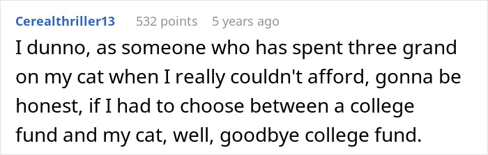 Screenshot of a Reddit comment discussing spending $3k from a college fund on a cat's surgery and teen refusal. Screenshot of a Reddit comment discussing spending $3k from a college fund on a cat's surgery and teen refusal.