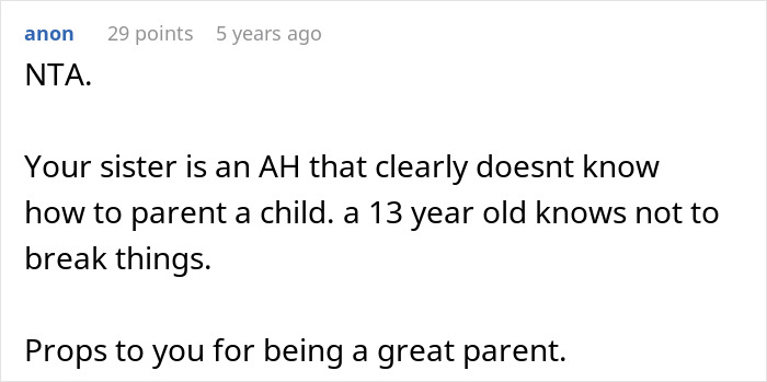 Comment from anon praising a woman who took back her nephew’s Christmas gift for responsible parenting after a 13-year-old broke things.
