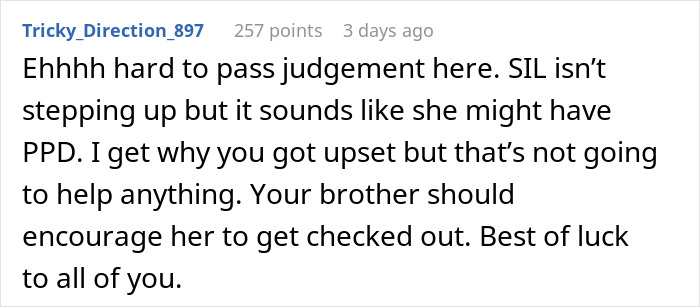 Comment on SIL not stepping up and suggestion to check for postpartum depression from a supportive online user.