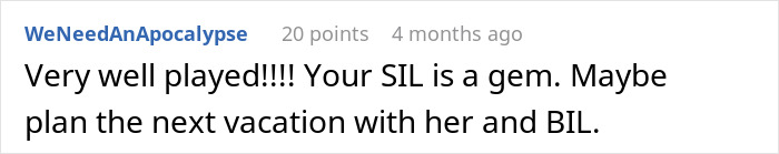 Comment thread showing a user praising a sister-in-law for outplaying a mother-in-law on a vacation plan scenario. Comment thread showing a user praising a sister-in-law for outplaying a mother-in-law on a vacation plan scenario.